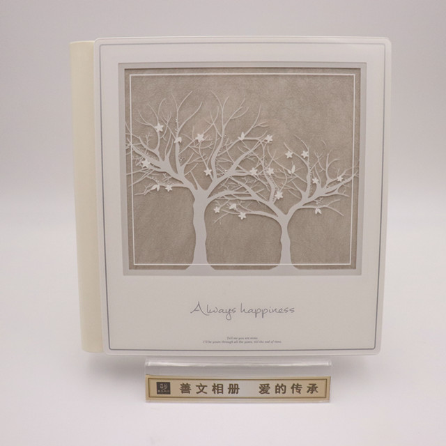 2019  Acrylic Customized Logo Wedding Photo Album Cover